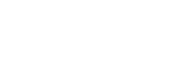 DUMINA America